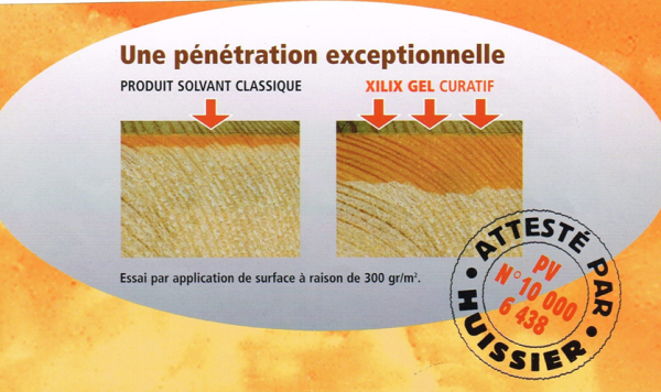 Pénétration Gel Curatif